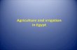 Agriculture And Irrigation In Egypt