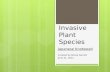 Invasive plant species