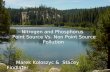 Nitrogen and Phosphorus Pollution in Limnological Systems