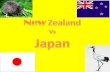Japan NZ Comparison 2 2011