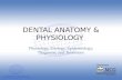 Dental Anatomy and Physiology (2009) - Welcome to IFDEA