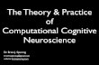 The theory and practice of computational cognitive neuroscience