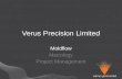 Verus Precision Presentation (March 2009 R1) Slide Show