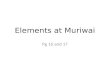 Elements at muriwai - yr13