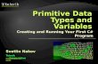 02. Primitive Data Types and Variables