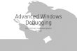 Advanced windows debugging