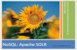 NoSQL, Apache SOLR and Apache Hadoop