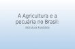 Geografia - Latifúndio, Monocultura, Escravidão; Agricultura Brasileira Pós-Industrialização