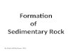 SEDIMENTARY ROCK  (teach)