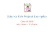Science Fair Project Examples