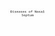 Diseases of nasal septum