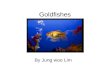 Goldfish by Jung Woo