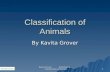 Classification of animals with lesson plan