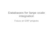 database - the case of ERP applications