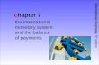 Международная денежная система и платежный баланс