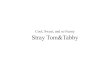 Stray Tom&Tabby