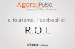 E-Tourisme, Facebook et ROI