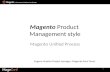 Управление продуктом в стиле Magento Unified Process