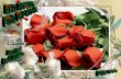 Red Roses For My Love (Nx Power Lite)