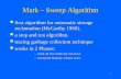 Mark and sweep algorithm(garbage collector)