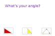 What's Your Angle?