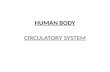 Powerpoint circulatory system   core