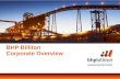 BHP Billiton - Overview