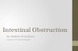 Intestinal obstruction Dr Hatem El Gohary
