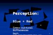 Perception by cross cultural group