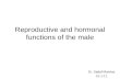 Reproductive and hormonal functions of the male