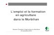 L’emploi et la formation en agriculture dans le Morbihan