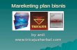 marketing plan bisnis tricajus