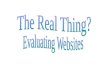 The Real Thing? Evaluating Websites