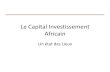 Overview of African Private Equity (French)