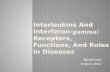 Interleukins and interferon gamma