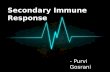 Secondary immune response