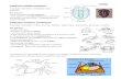 Biol 11 Lesson 2 April 7  - Arthropoda Station Info Sheets