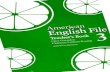 American English file 3 Teacher's Book