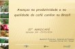 Avanços na produtividade e na qualidade do café conilon no brasil   aymbire fonseca