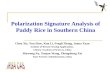 Polarization signature analysis of paddy rice in southern china