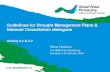 Third IDMP CEE workshop: Guidelines for Drought Management Plans and National Consultation Dialogues by Elena Fatulova