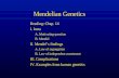 Lecture 11 Mendelian Genetics