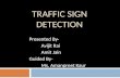 Traffic sign detection