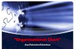 Organisational Chart (Model Struktur Organisasi)