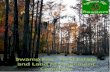 Swamp fox real estate & land management