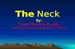 neck triangles , swellings and lymphatics