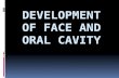 Development of face and oral cavity*