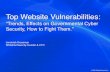 Statistics - Top Website Vulnerabilities