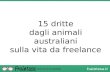 15 dritte dagli animali australiani sulla vita da freelance
