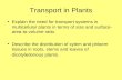 As plant transport